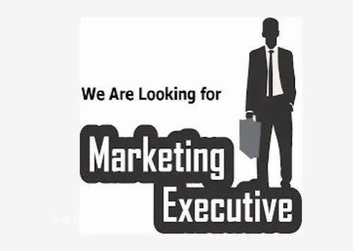 Wanted Marketing Executives